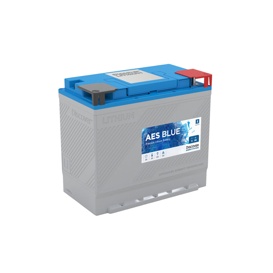 Discover 12v Lithium Blue 100Ah Battery with Heat – Future Sales LLC